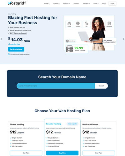 hostgrid v2 web hosting template