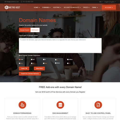 professional website themes