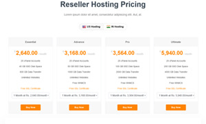 web hosting business