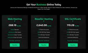 web hosting business